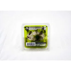 Stoffels - Grillons noirs alimentation reptiles, taille L, 20 pièces Online