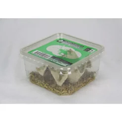 Stoffels - Grillons reptiles, taille M, environ 50 pièces Best