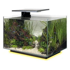 Superfish - Aquarium Quadro 40, coloris noir - L.45xP.25xH.35,7cm Hot