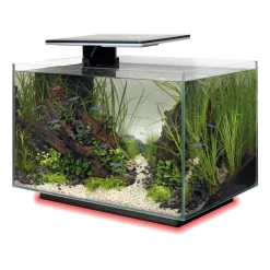 Superfish - Aquarium Quadro 40, coloris noir - L.45xP.25xH.35,7cm Hot