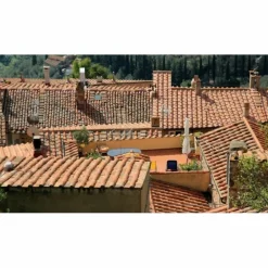 3t Traitement Et Pulvérisation | - Antimousse concentré 5 litres à diluer pour 1000 m² de traitement toit toiture mur et sol