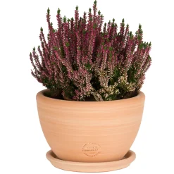 Terrablanca Cache-Pots Et Bacs D'Intérieur|Pots, Jardinières Et Carrés Potagers | - Coupe en terre cuite claire Ø 40 x H. 20 cm