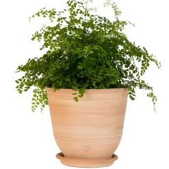 Terrablanca Pots Et Jardinières | - Pot Campana en terre cuite claire Ø 20 x H. 18 cm