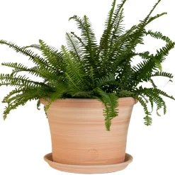 Terrablanca - Pot Cocio Liso, en terre cuite claire Ø 24 x H. 19 cm Best