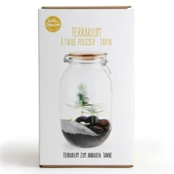 NA Terrarium végétal à faire soi-même - sapin de noël Best