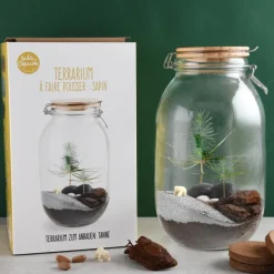 NA Terrarium végétal à faire soi-même - sapin de noël Best