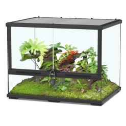 Terratlantis - Terrarium pour reptiles et amphibiens en verre noir - L.60 cm Sale