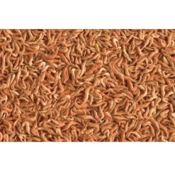 Tetra - Crevettes séchés 250ml/20g reptodelica pour les tortues d'eau Hot