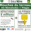 Tout Pour Les Nuisibles - Kit nématodes 5 millions + 10 pièges collants xxl - contre les mouches du terreau - formulation gel longue durée pour traiter 25 pot Discount