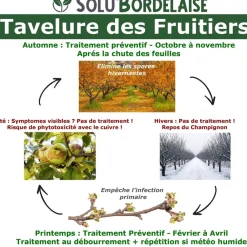 Tout Pour Les Nuisibles - Solu'bordelaise - tavelure des fruitiers-3 kg de bouillie bordelaise non colorée Online