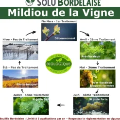 Tout Pour Les Nuisibles Traitement Et Pulvérisation | - Solu'bordelaise - 500 g de bouillie bordelaise - mildiou de la vigne - utilisable agriculture biologique