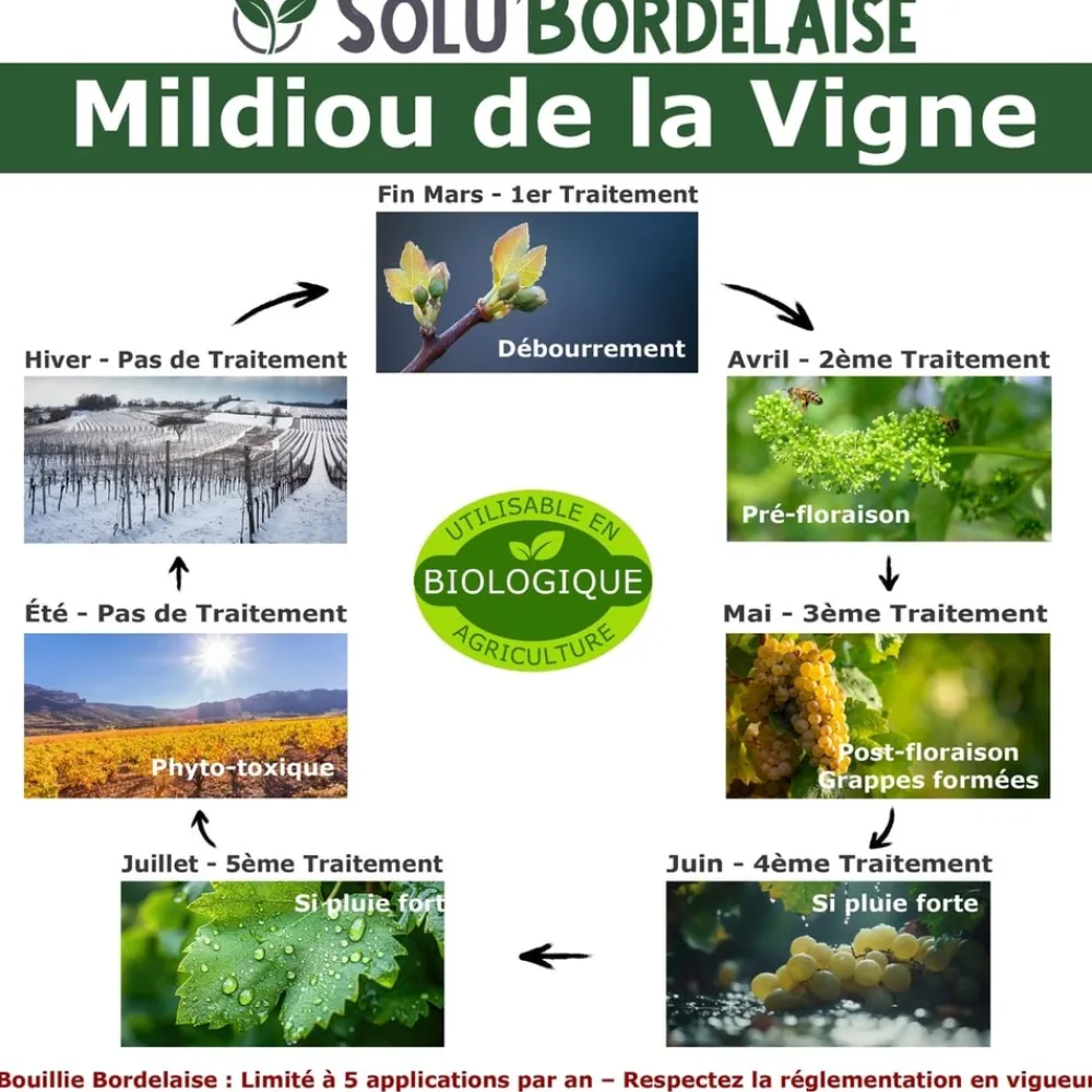 Tout Pour Les Nuisibles Traitement Et Pulvérisation | - Solu'bordelaise - 500 g de bouillie bordelaise - mildiou de la vigne - utilisable agriculture biologique