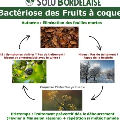 Tout Pour Les Nuisibles Traitement Et Pulvérisation | - Solu'bordelaise - 1 kg de bouillie bordelaise - bactériose des fruits à coque - utilisable agriculture biologique