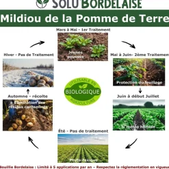 Tout Pour Les Nuisibles Traitement Et Pulvérisation | - Solu'bordelaise - 5 kg de bouillie bordelaise - mildiou de la pomme de terre - utilisable agriculture biologique - 5 sachetsde 1kg