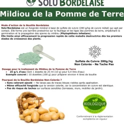 Tout Pour Les Nuisibles Traitement Et Pulvérisation | - Solu'bordelaise - 3 kg de bouillie bordelaise - mildiou de la pomme de terre - utilisable agriculture biologique - 3 sachets de 1kg