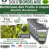 Tout Pour Les Nuisibles Traitement Et Pulvérisation | - Solu'bordelaise - 5 kg de bouillie bordelaise - bactériose des fruits à coque - utilisable agriculture biologique - 5 sachets de 1kg