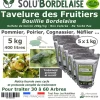 Tout Pour Les Nuisibles Traitement Et Pulvérisation | - Solu'bordelaise - tavelure des fruitiers - 5 kg de bouillie bordelaise non colorée