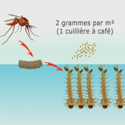 Tout Pour Les Nuisibles Traitement Et Pulvérisation | - Solu'bti - moustiques - 400 gr de larvicide biologique