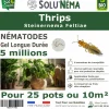Tout Pour Les Nuisibles - Solunéma - thrips - nématodes (sf) - 5 millions pour 25 pots ou 10 m² Hot