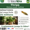 Tout Pour Les Nuisibles Anti-Nuisibles | - Solunéma - thrips - nématodes (sf) - 25 millions pour traiter jusqu'à 50 m²