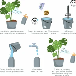 Tout Pour Les Nuisibles Anti-Nuisibles | - Solunéma - thrips - nématodes (sf) - 25 millions pour traiter jusqu'à 50 m²