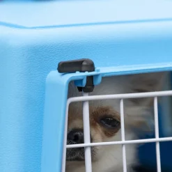 NA Paniers, Transports Et Chatières | Transport rigide pour chats et chiens de petite taille atlas 10 el, porte an acier plastifié, grilles pour l'aération