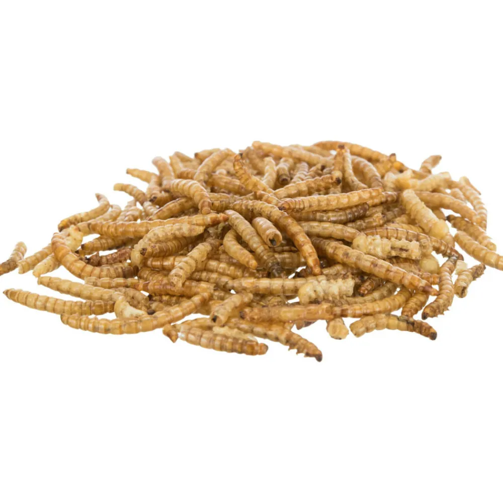 Trixie - Larves de vers de farine séchées 70 g New