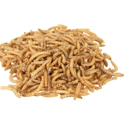 Trixie Alimentation | - Larves de vers de farine séchées 70 gr