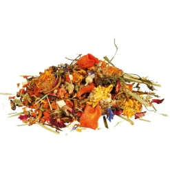 Trixie Alimentation | - Mélange d'aliments naturels pour dragons barbus 100g
