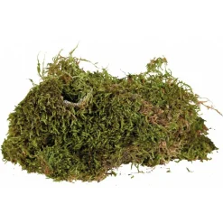 Trixie - Mousse pour terrarium, 200 g, substrat pour terrariums humides. Hot