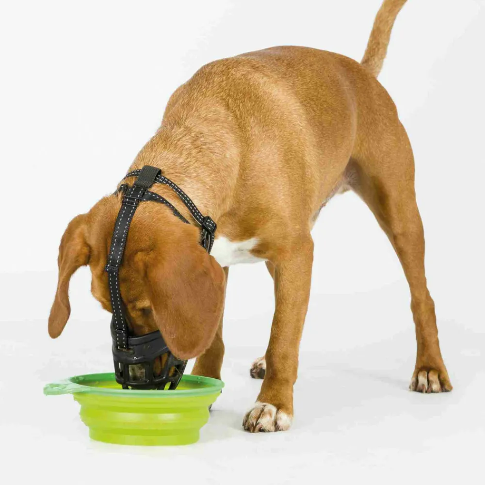 Trixie Education | - Muselière muzzle flex, en silicone taille: s pour chien type jack russell t