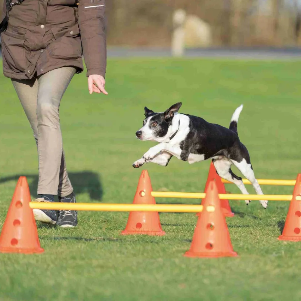 Trixie - Set d'obstacles 6 cônes 3 piquets • parcours agilité chiens Outlet