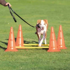 Trixie - Set d'obstacles pour chien - 4 cône - agility Sale