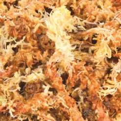 Trixie - Sphaigne mousse de shagnum 100 g 4.5 litres reptile Online