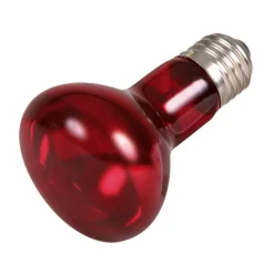 Trixie - 50 w lampe infrarouge à chaleur, ø 63 × 100 mm Hot