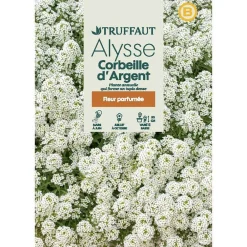 Truffaut - Alysse Tapis d'argent : en sachet
