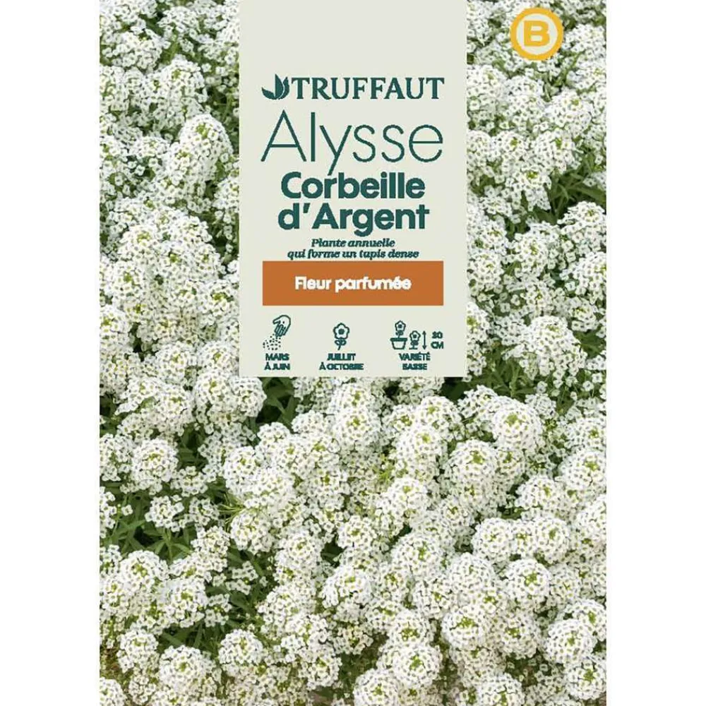 Truffaut - Alysse Tapis d'argent : en sachet