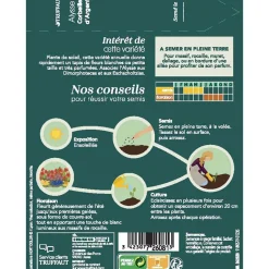 Truffaut - Alysse Tapis d'argent : en sachet