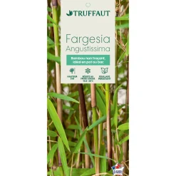 Truffaut Bambous | - Bambou non-traçant fargesia angustissima: pot de 12 litres