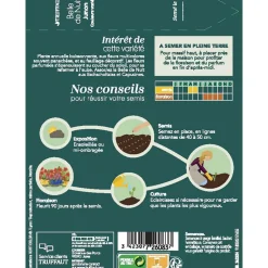 Truffaut - Belle de nuit Junon - couleur variée : en sachet Discount