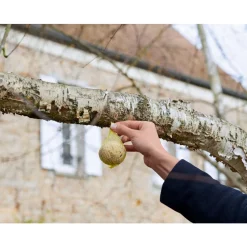 Truffaut Biodiversité Oiseaux Du Jardin | TRUFFAUT BIODIVERSITÉ - Boules de graisse pour oiseaux du jardin - Lot de 60 - 5,4 kg