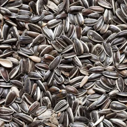 Truffaut Biodiversité Oiseaux Du Jardin | TRUFFAUT BIODIVERSITÉ - Graines de tournesol pour oiseaux du jardin - 20 kg
