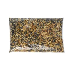 Truffaut Biodiversité TRUFFAUT BIODIVERSITÉ - Mélange de graines pour oiseaux du jardin - 1 kg New