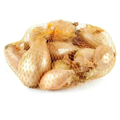 Truffaut - Bulbes d'échalotes 'Jermor' en filet - 250 g Best