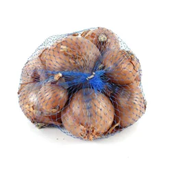 Truffaut - Bulbes d'échalotes 'Red Sun' en filet - 250 g Best