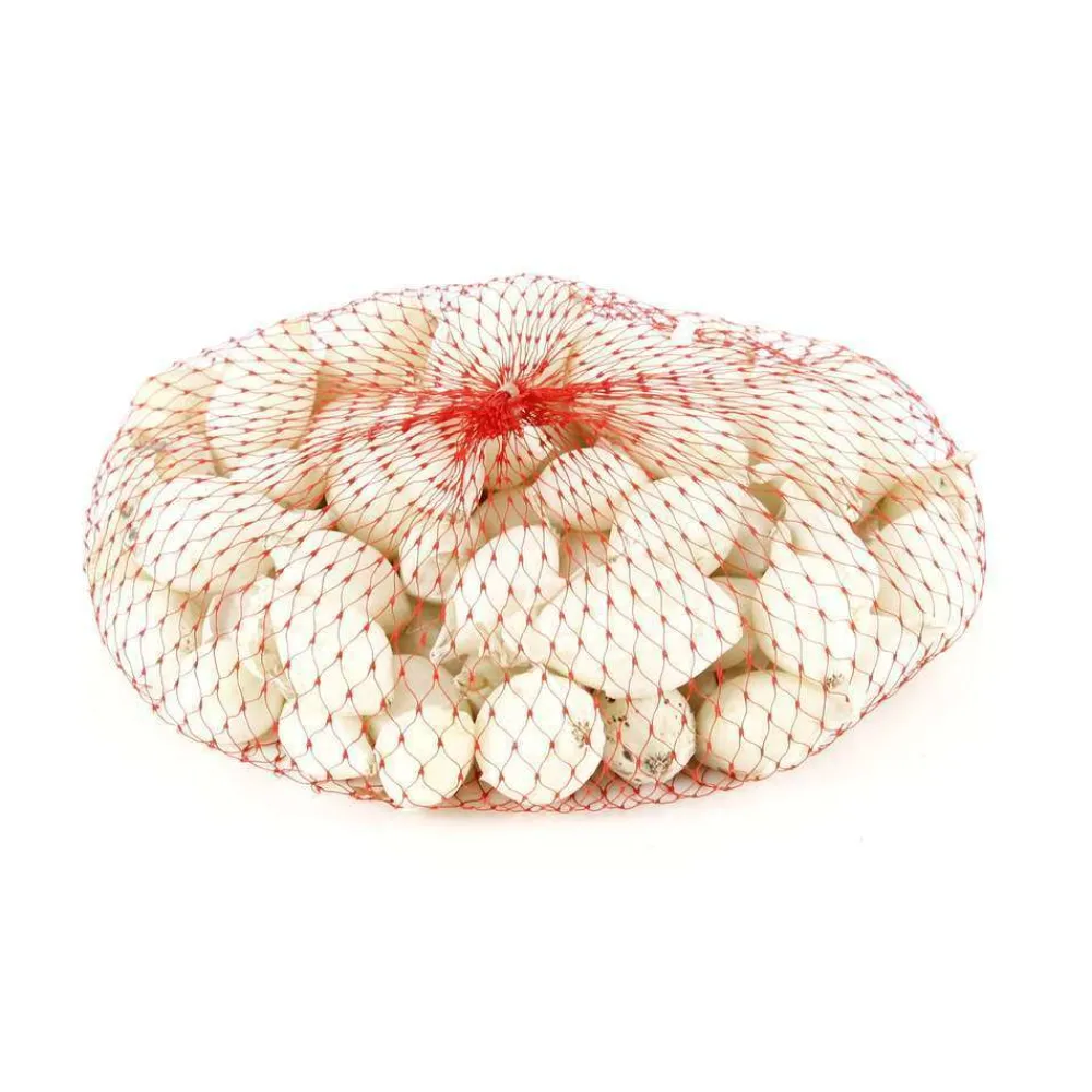 Truffaut Pommes De Terre, Ails, Oignons, Échalotes | - Bulbes d'oignons blancs 'Snowball' en filet - 250 g