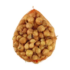 Truffaut Pommes De Terre, Ails, Oignons, Échalotes | - Bulbes d'oignons jaunes en filet - 500 g