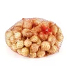 Truffaut Pommes De Terre, Ails, Oignons, Échalotes | - Bulbes d'oignons 'Riesen' en filet - 250 g