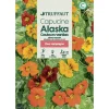 Truffaut - Capucine Alaska couleur variée : En sachet Hot