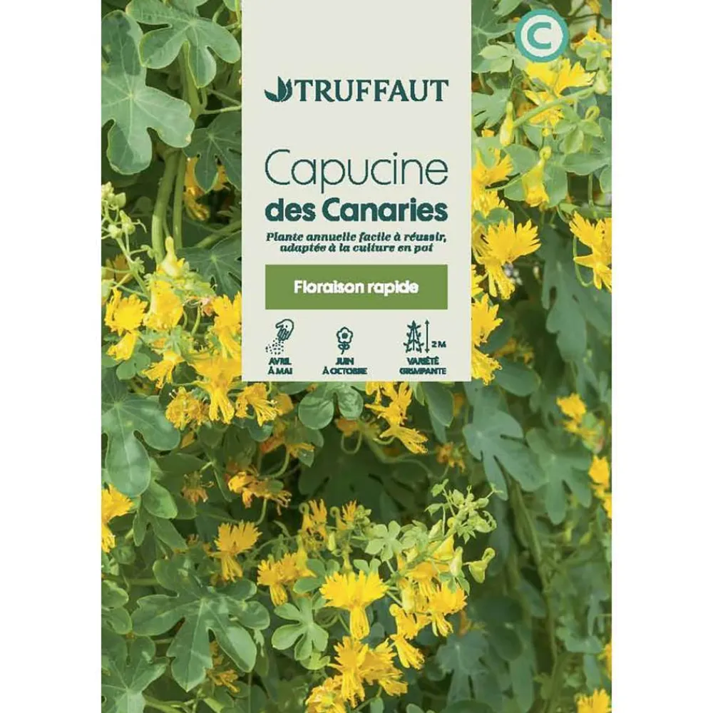 Truffaut - Capucine des canaries 3 g Hot